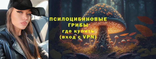винт Надым